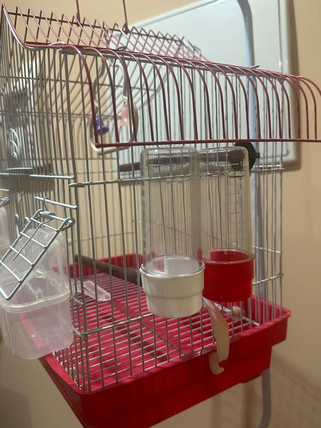 Jaula para pájaros con trípode