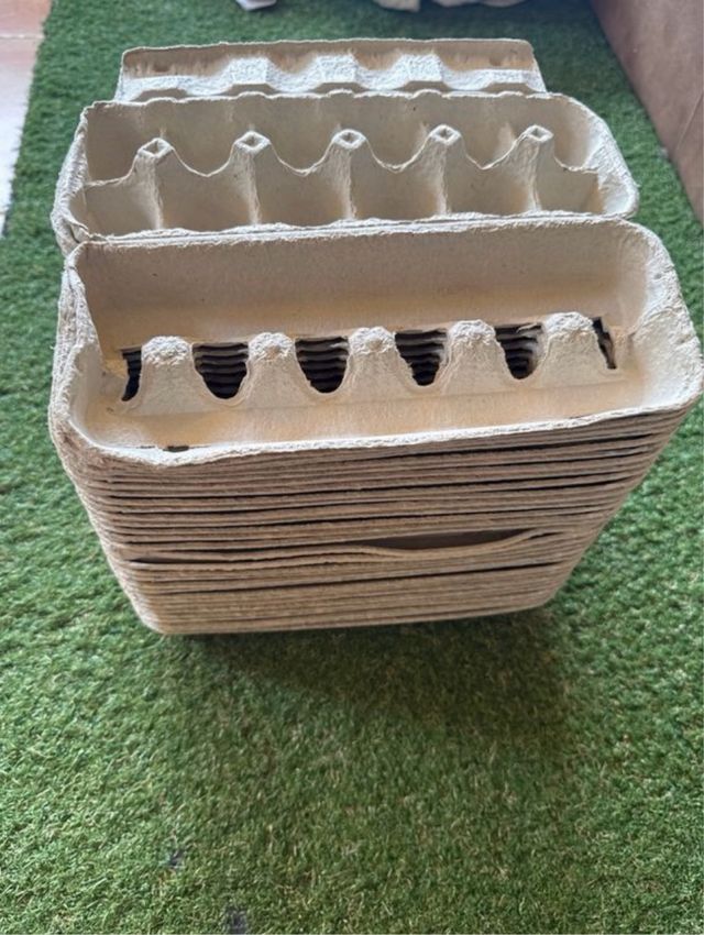 Hueveras de cartón 100 unidades