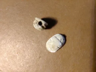 Auténticos escarabajos egipcios
