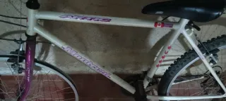 Bicicleta MTB Arctic Montreal