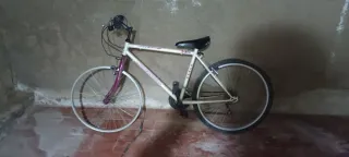 Bicicleta MTB Arctic Montreal