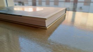 El tesoro del Cisne Negro, de Paco Roca