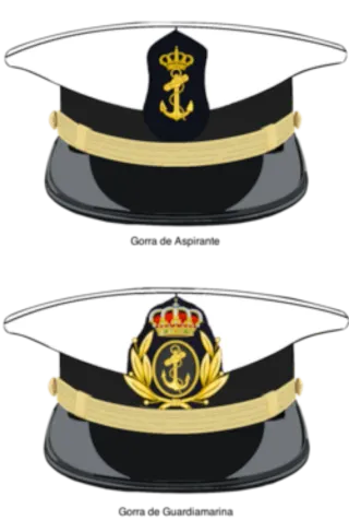 Escarapela Aspirante Escuela Naval Militar 