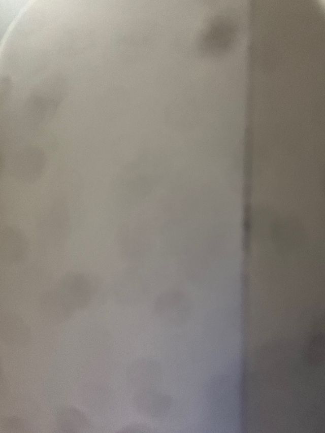 iPhone 14 Plus Apple