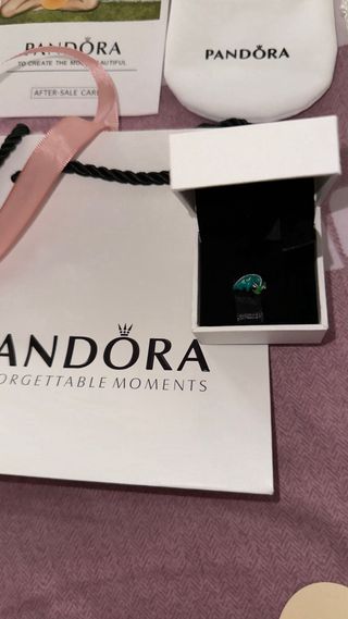 Charm Pandora Pascal