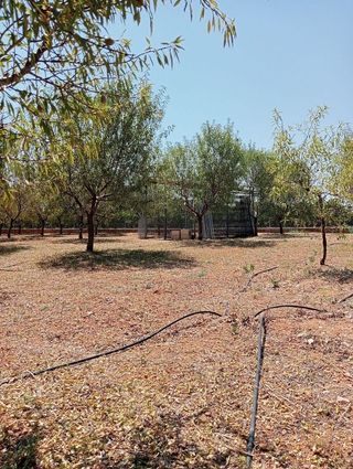 Terreno en venta en Alcàsser