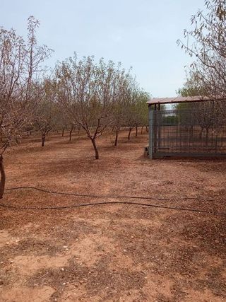 Terreno en venta en Alcàsser