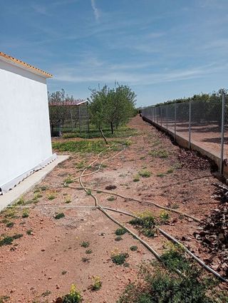 Terreno en venta en Alcàsser