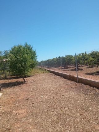 Terreno en venta en Alcàsser