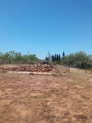 Terreno en venta en Alcàsser