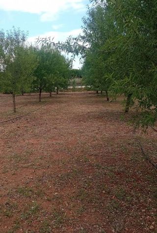Terreno en venta en Alcàsser