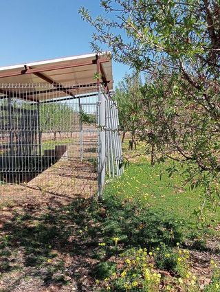 Terreno en venta en Alcàsser