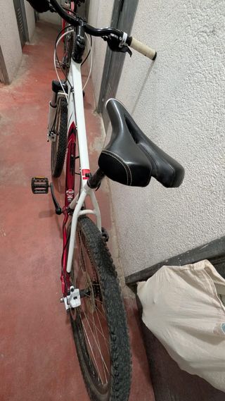 Bicicleta Montaña Specialized (BTT)