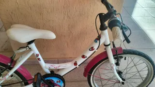Bicicleta niña 20
