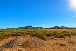 Terreno en venta en Felanitx