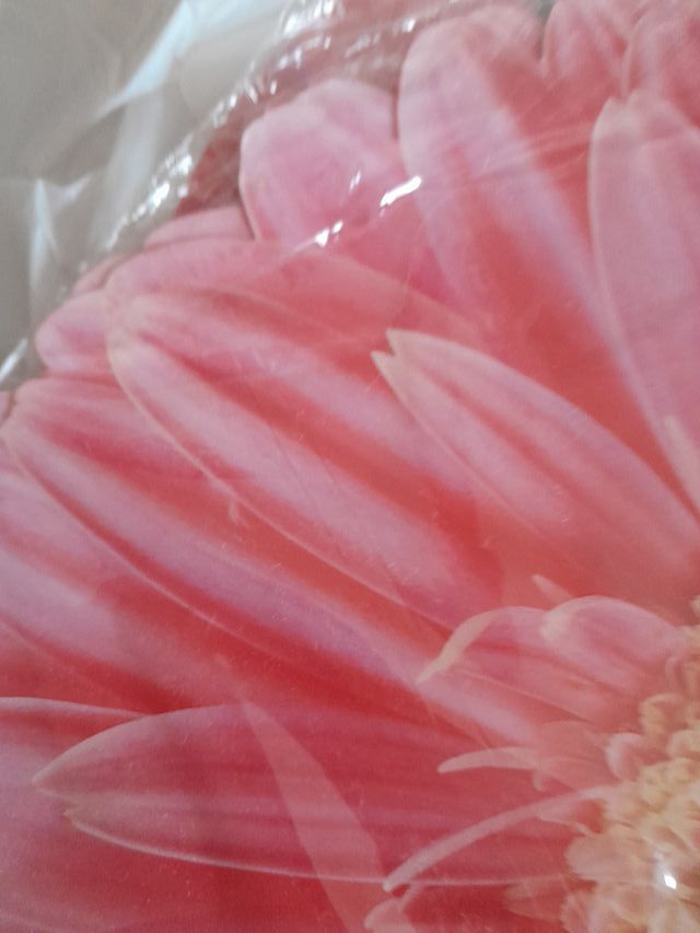 Tovagliette plastica fiore rosa