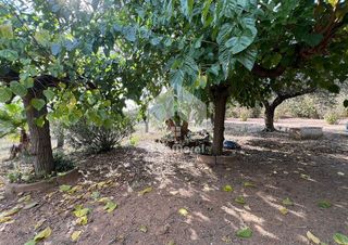 Terreno en venta en Selva del Camp, La