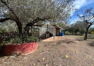 Terreno en venta en Selva del Camp, La
