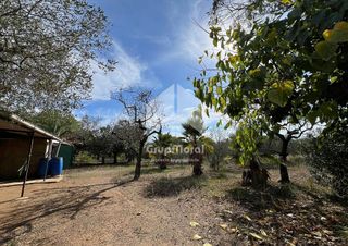 Terreno en venta en Selva del Camp, La