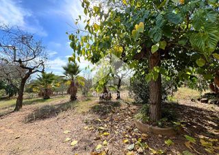 Terreno en venta en Selva del Camp, La