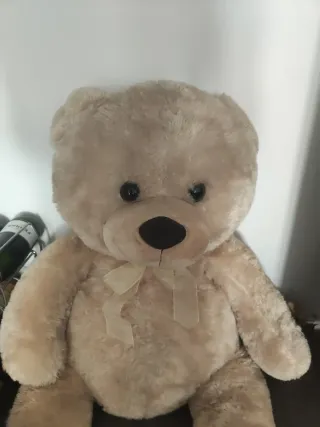 Orsetto Peluche Gigante  Si chiama NICOLA