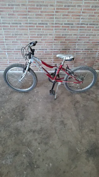 Bicicleta infantil roja y plateada