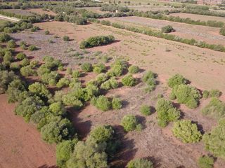 Terreno en venta en Felanitx