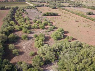 Terreno en venta en Felanitx