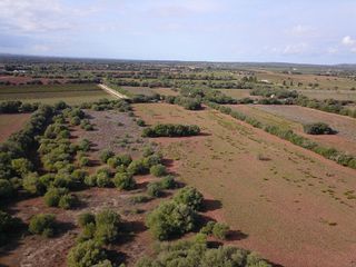 Terreno en venta en Felanitx