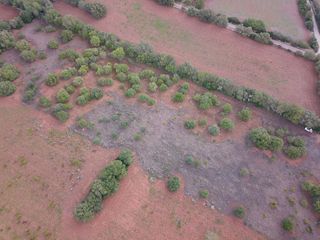 Terreno en venta en Felanitx