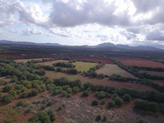 Terreno en venta en Felanitx