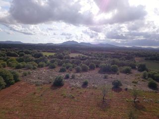 Terreno en venta en Felanitx