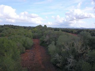 Terreno en venta en Felanitx