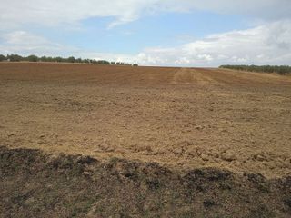 Terreno en venta en Salteras