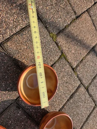 Piatto e ciotoline pinzimonio