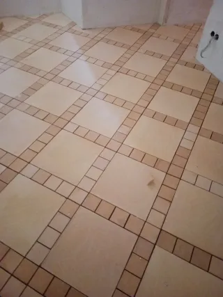 Solados y alicatados