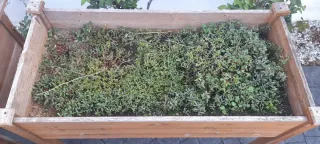 Huerto urbano de madera elevado