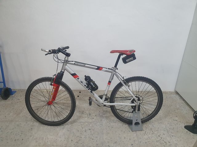 Bicicleta orbea tenere