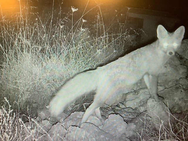 Prismáticos Coolife Visión Nocturna Cámara