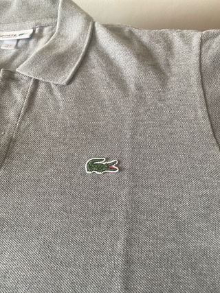 Polo Lacoste Gris
