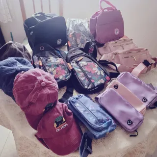 Lote de bolsos y gorras