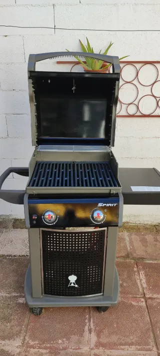 Barbecue Weber Spirit