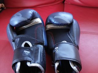 Conjunto Kickboxing/Boxeo:Guantes, Pantalón+regalo