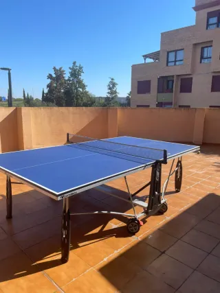 Mesa de ping pong azul