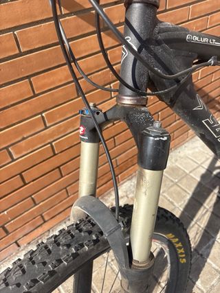 Bicicleta Santa Cruz Blur LT