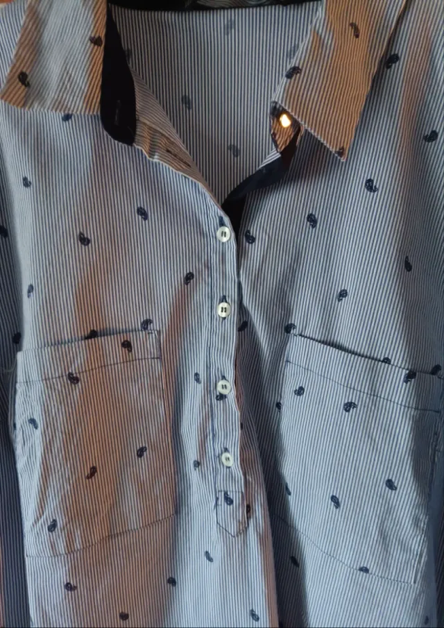 Camisa Rayas Azules y Blancas con Estampado