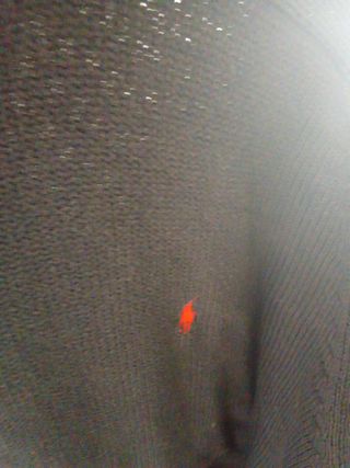 Jersey Polo Ralph Lauren Negro Talla XXL