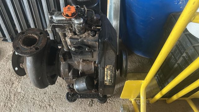 Motor de riego Lombardini 
