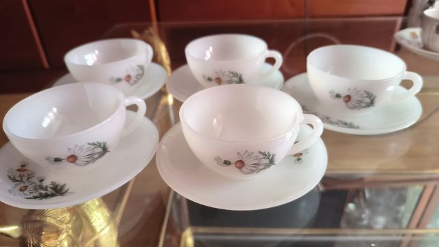 5 Tazas Arcopal Vintage con Platillos Flores