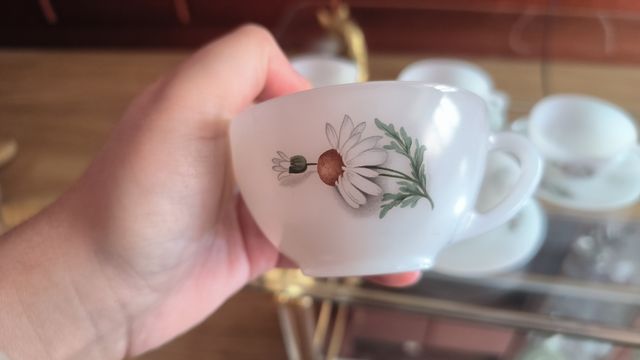 5 Tazas Arcopal Vintage con Platillos Flores